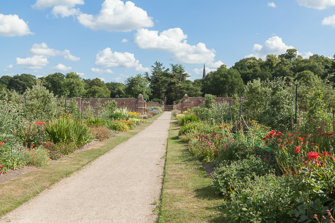 Clumber 2013 (16)